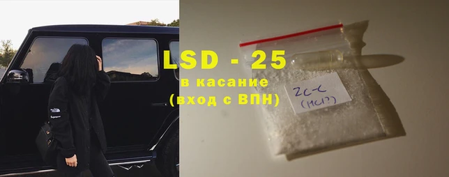 PSILOCYBIN Елабуга