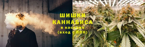 PSILOCYBIN Елабуга