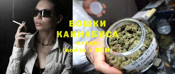 PSILOCYBIN Елабуга