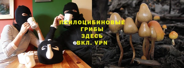 альфа пвп Елизово