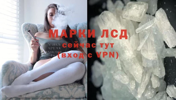 PSILOCYBIN Елабуга