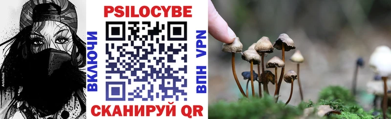 Галлюциногенные грибы прущие грибы  закладки  Новосиль 